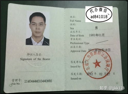 机场安全员模拟器 