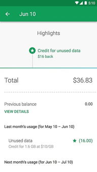 安卓系统project fi,安卓系统下的创新移动服务体验解析