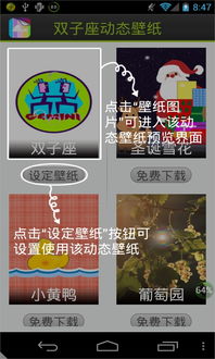 安卓双子系统,双倍乐趣
