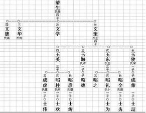 notation制谱安卓系统,基于notation制谱的安卓系统功能概述