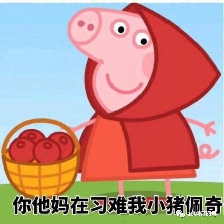 安卓系统的猪表情,安卓系统中的猪表情魅力解析