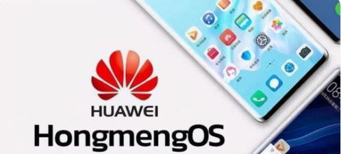 华为被安卓系统除名,科技巨头面临新挑战与转型之路”