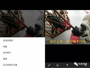 安卓系统裁剪视频长度,快速生成精彩视频概述