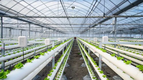 安卓健种植系统优势,智能化农业管理的创新优势解析
