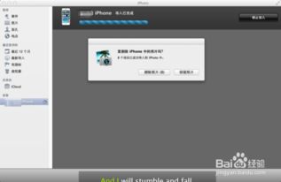 whatsapp安卓导入苹果系统,WhatsApp安卓数据完美迁移至苹果系统攻略