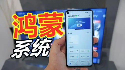 国产替代安卓的系统,引领科技新潮流的本土力量