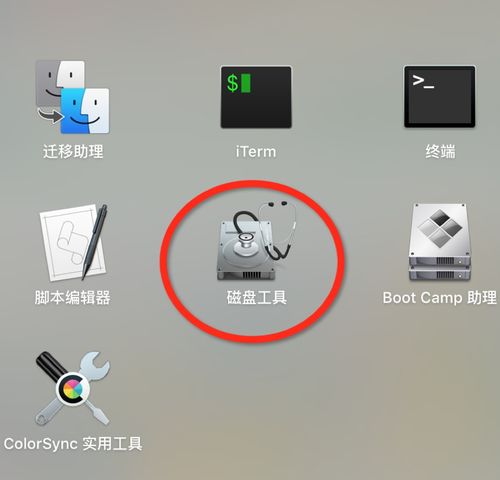 苹果系统编写安卓,探索跨平台技术融合之路