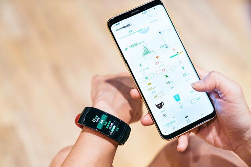 安卓系统蓝牙app开发,Android蓝牙APP开发全流程概述