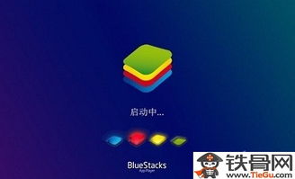 虚拟安卓系统apk下载,畅享无限应用体验