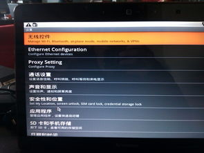 双系统安卓啥意思,一机多能