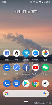 安卓系统也有pe吗,探索移动设备上的专业环境