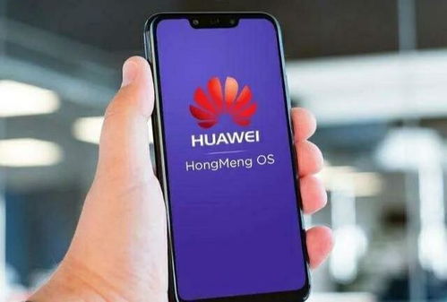 安卓手机支持鸿蒙系统,开启跨平台新纪元