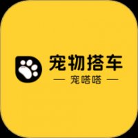 宠物搭车 