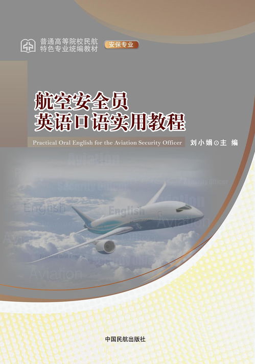 机场安全员模拟器 