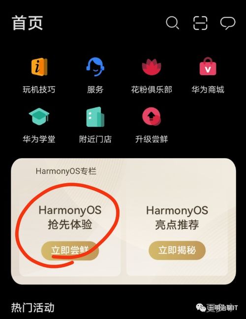 华为安卓鸿蒙系统下载,下载与体验新生态
