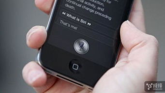 有安卓苹果系统吗,两大主流操作系统的全面解析