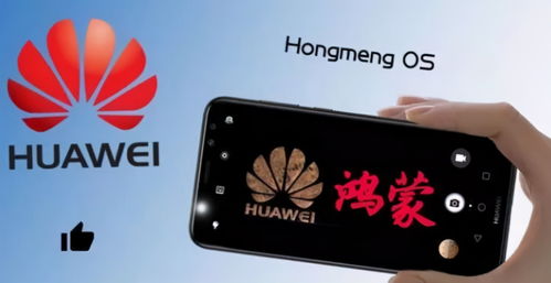 安卓升级鸿蒙系统缺点,五大潜在缺点解析