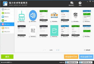 安卓系统图片怎么迁移,轻松实现跨设备传输