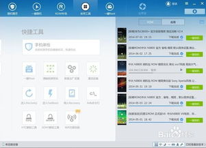 安卓系统密码忘记了,解锁秘籍大揭秘