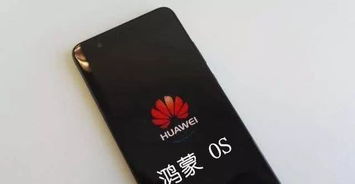 华为安卓系统不能用,探索替代方案与挑战