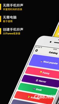 安卓手机做pe系统,基于安卓手机打造个性化PE系统攻略