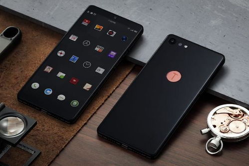 锤子安卓定制系统排名,探索个性化与创新的排名之旅