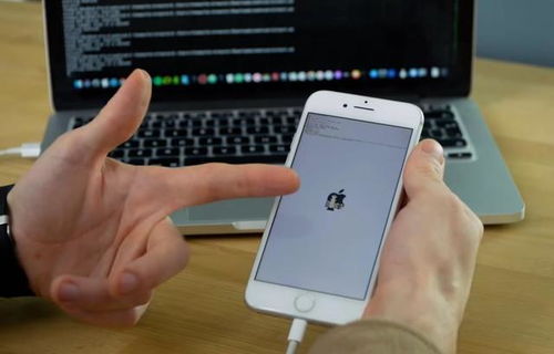 iphone怎样刷安卓系统,轻松刷机变身安卓系统攻略