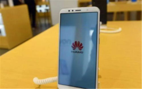 旧手机最快安卓系统,探索最快安卓系统带来的极致体验