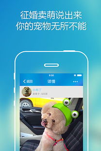 宠物捕捉系统3.0安卓,安卓平台上的全新宠物冒险之旅