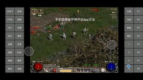 安卓系统玩暗黑2,暗黑破坏神II手游体验攻略