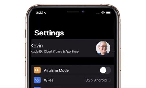 ios玩安卓系统吗,跨平台畅游新篇章