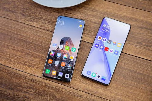 2021安卓最稳定系统,揭秘年度最稳定系统榜单