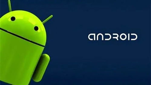 安卓臃肿系统有哪些,深度解析系统瘦身之道