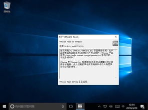 安卓一机多系统,安卓设备的多面手体验解析