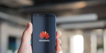 华为安卓系统8月,智慧生活新篇章