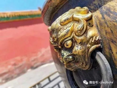 安卓系统的景深模式,捕捉立体视觉的艺术之旅