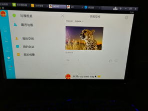 安卓系统会议屏幕小了,安卓系统会议屏幕缩放问题解析