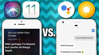 如何安卓换苹果系统,安卓用户换苹果系统全攻略