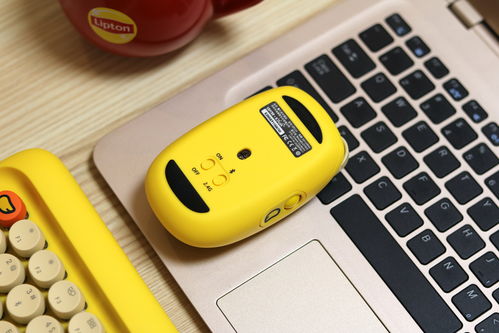 安卓系统能用鼠标吗,畅享鼠标操控体验