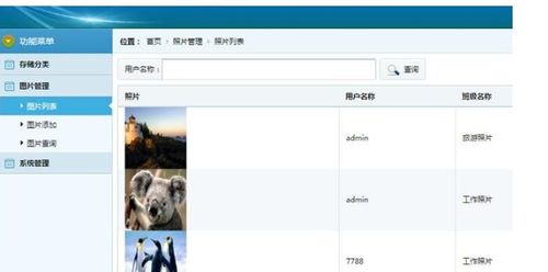 照片视频管理安卓系统,安卓系统下的便捷体验解析