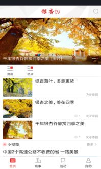 银杏系统主题app安卓,打造个性化安卓体验的智慧之选