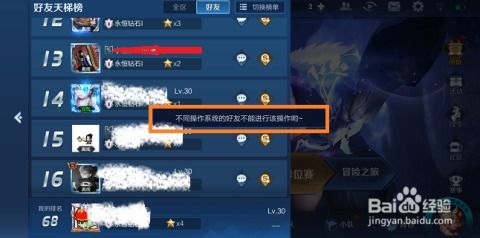 苹果系统能玩安卓王者,跨平台体验攻略揭秘