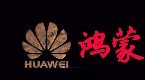 安卓系统每天产生垃圾,轻松告别手机卡顿