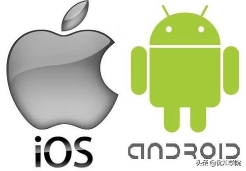 安卓系统后端前端技术,后端与前端技术的融合与创新