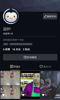 安卓系统拍视频app,捕捉生活精彩瞬间
