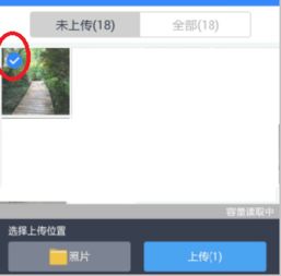 苹果安卓如何分工系统,系统分工与生态构建的差异化策略解析