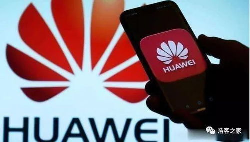 斑马系统可以安卓吗