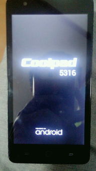 安卓手机开机不进系统,故障排查与解决攻略